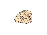 Brain